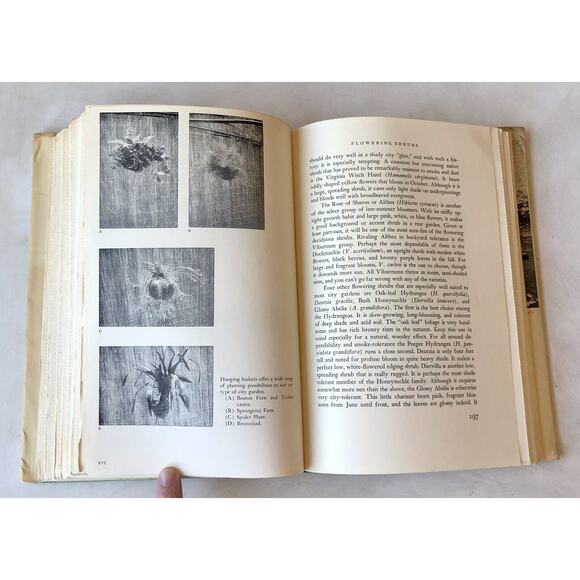Vintage 1964 City Gardener 1st Ed HC Book Rooftop Terrace Balcony DJ Illus Truex - Picture 16 of 16